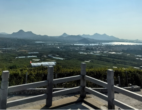平度大澤山葡萄園引進(jìn)萊恩德土壤肥料檢測儀， 輕松掌握土壤營養(yǎng)